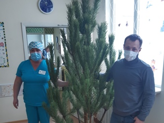 Олег Шаронов передал елки в медицинские учреждения